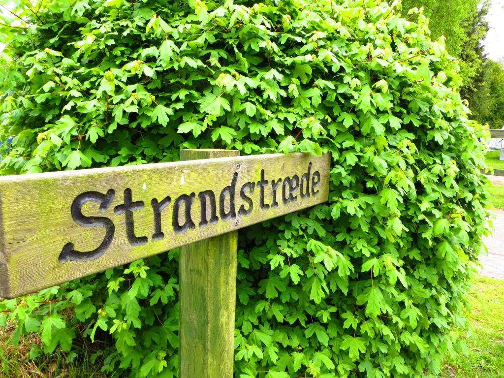 Ostersoparken Camping Hotel Gedser Buitenkant foto